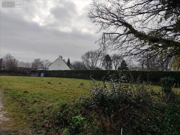 Terrain à Batir à vendre à La Haye dans la Manche (50250), ref : 50061-1074975