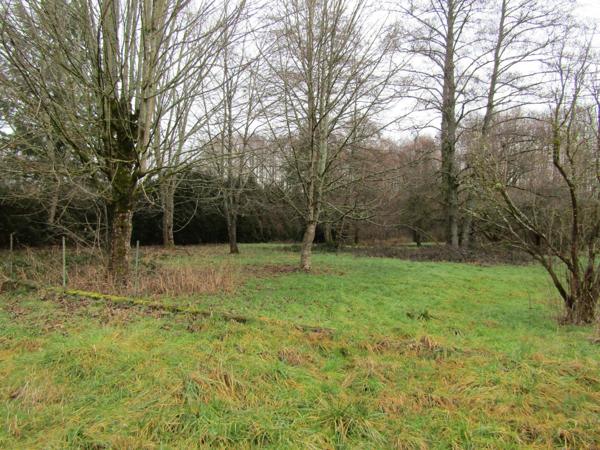 Vente Maison 8 pièces 152 m2 à Étival-Clairefontaine