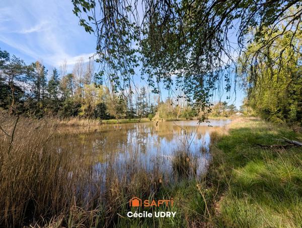 Etang de pêche ombragé