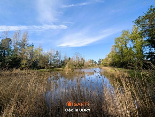 Etang de pêche ombragé