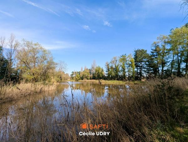 Etang de pêche ombragé