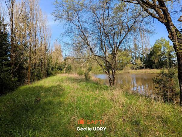 Etang de pêche ombragé