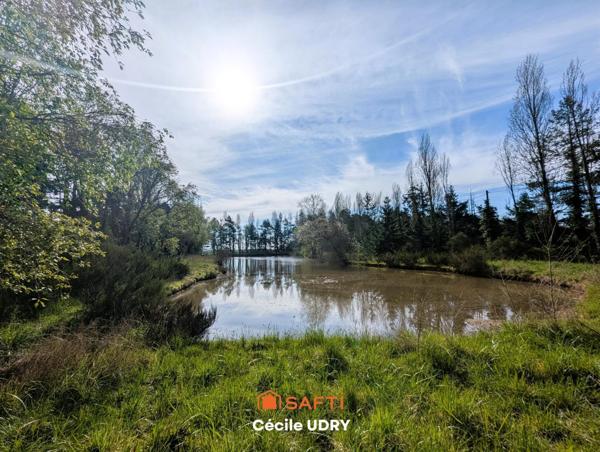 Etang de pêche ombragé