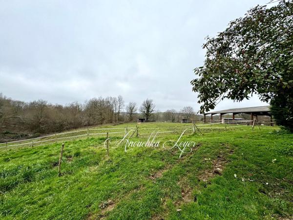 Propriété équestre de caractère - 3 habitations