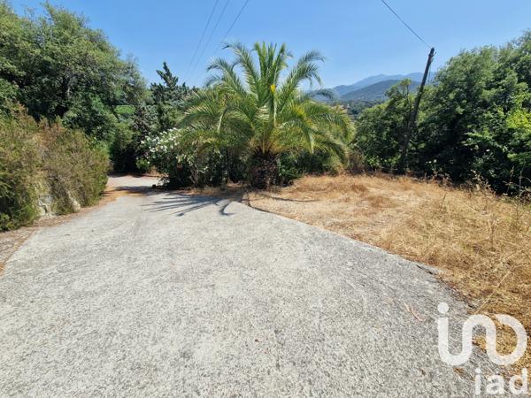 Maison à vendre 5 pièces 126 m² Serra-di-Ferro