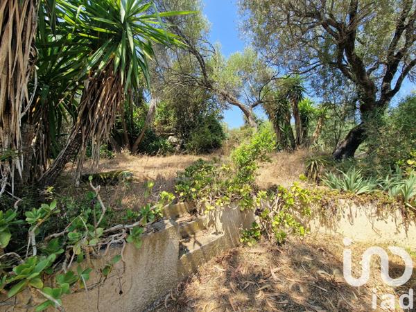 Maison à vendre 5 pièces 126 m² Serra-di-Ferro