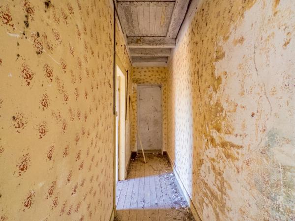 Maison à vendre à Coulonges-les-Hérolles (86290) - Vienne