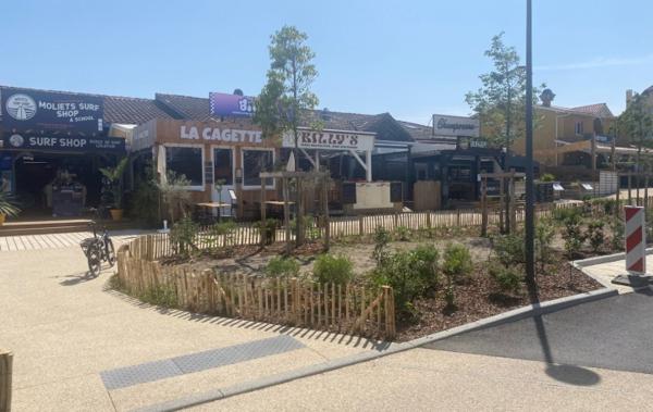 Vente Local commercial Alimentation neuf Moliets-et-maa   