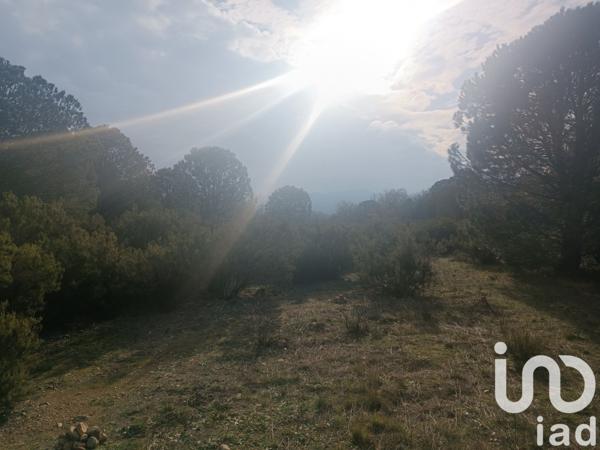 Terrain à vendre 7 442 m² Ortaffa