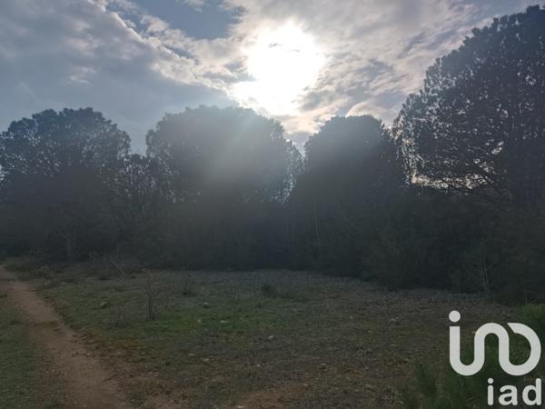 Terrain à vendre 7 442 m² Ortaffa