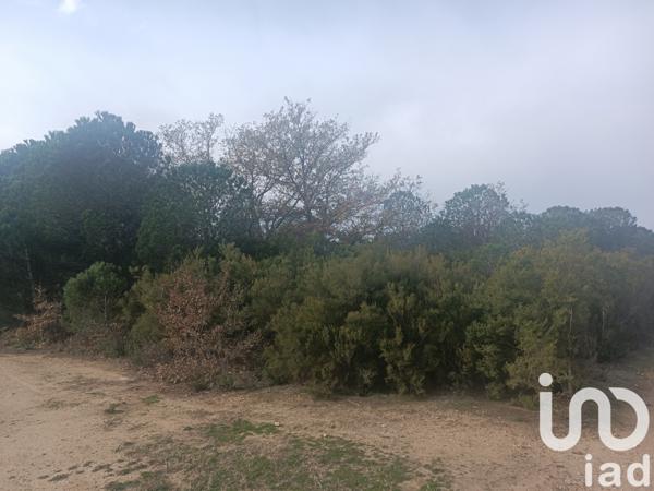 Terrain à vendre 7 442 m² Ortaffa