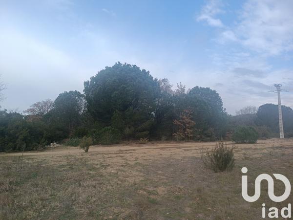 Terrain à vendre 7 442 m² Ortaffa