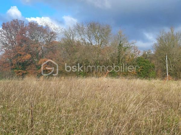 Terrain de 2 997 m²