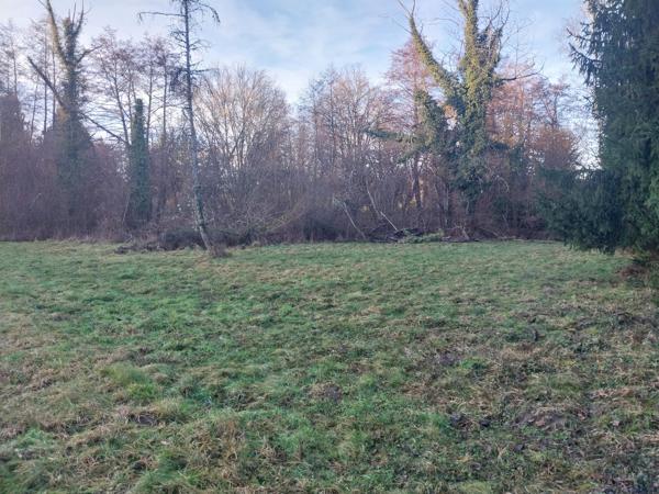 terrain de loisir avec chalet / etang / ruisseau