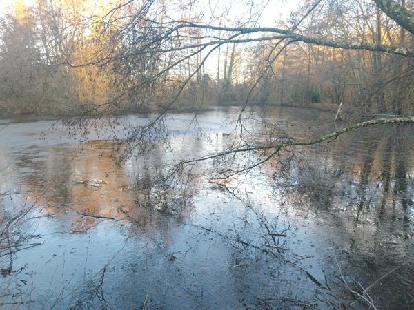 terrain de loisir avec chalet / etang / ruisseau