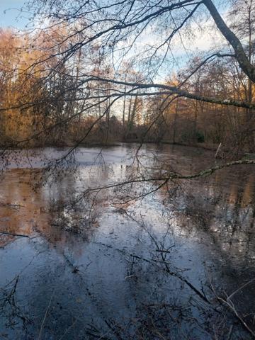 terrain de loisir avec chalet / etang / ruisseau