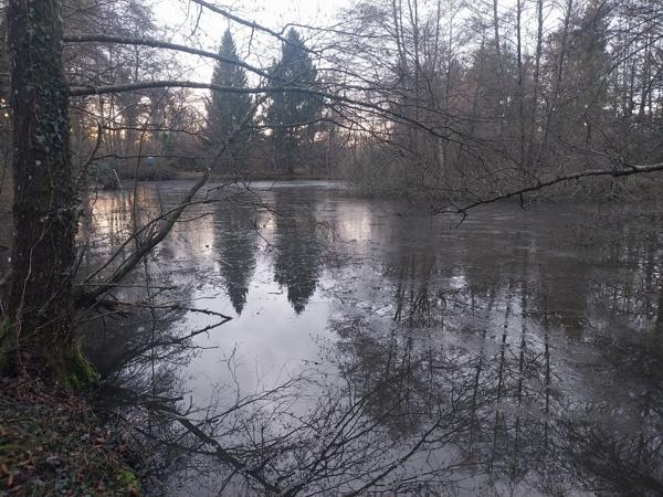 terrain de loisir avec chalet / etang / ruisseau
