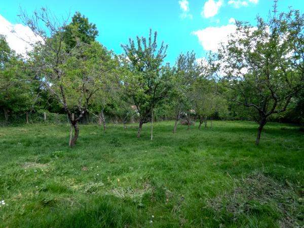 Saint-Vincent-sur-Graon (85540) Grange à réhabiliter, sur un terrain de 2971m2.