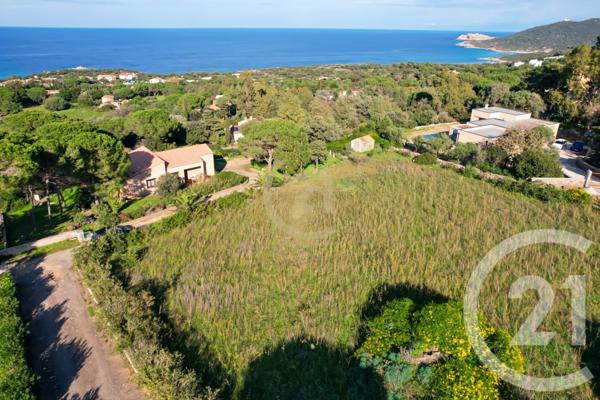 Terrain à vendre  2027 m2 CORBARA - 202