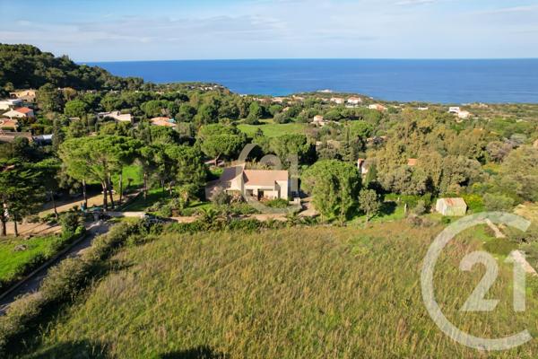 Terrain à vendre  2027 m2 CORBARA - 202