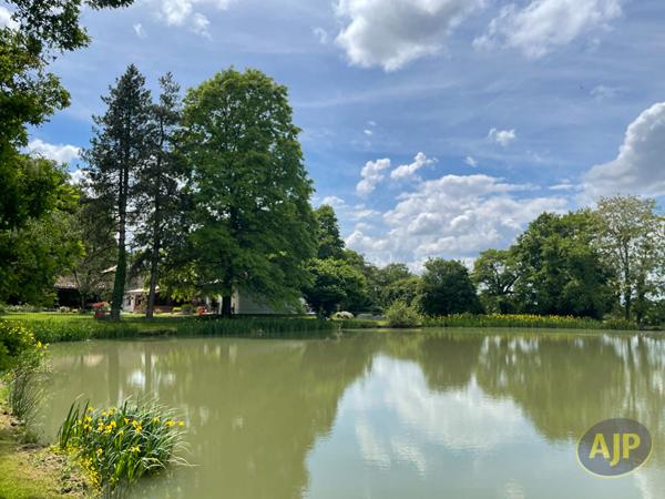 Vente maison Vezins : 610 000 € - AJP Immobilier Saint-Macaire-en-Mauges