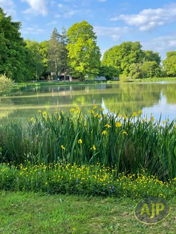 Vente maison Vezins : 610 000 € - AJP Immobilier Saint-Macaire-en-Mauges