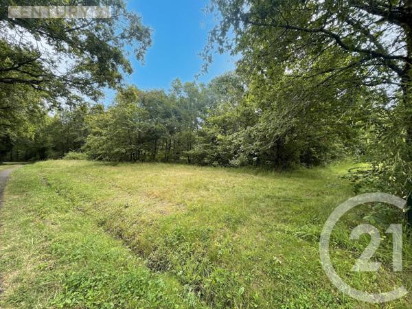 Terrain à vendre  5452 m2 MONTPON MENESTEROL - 24