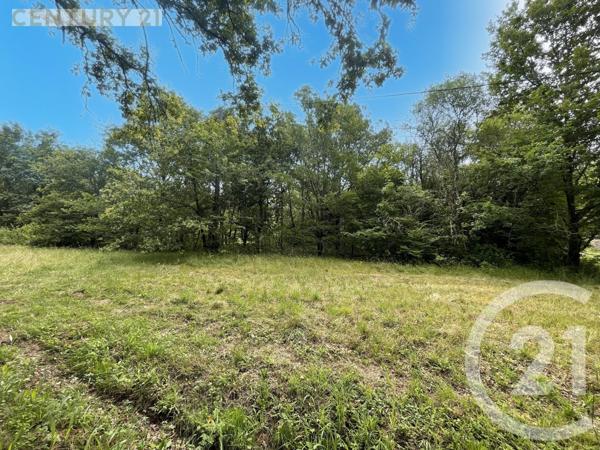 Terrain à vendre  5452 m2 MONTPON MENESTEROL - 24