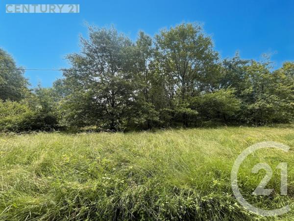 Terrain à vendre  5452 m2 MONTPON MENESTEROL - 24