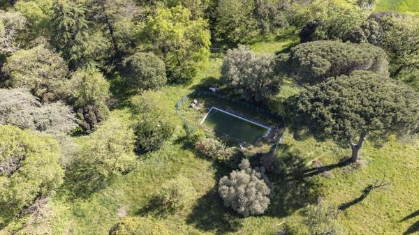 None