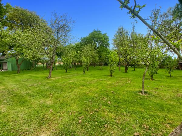 La Baconnière (53240) A VENDRE PROPRIETE LA BACONNIERE 53240