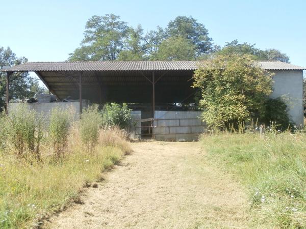 Montauban, Quartier Falguières : Maison avec grand terrain et dépendances