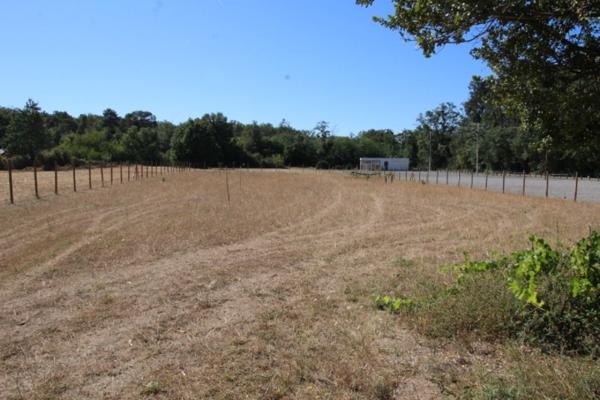 Terrain Targe 3601 m2