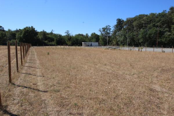 Terrain Targe 3601 m2