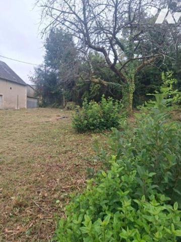 Maison de caractère, composée d'une belle entrée, cuisine ouverte aménagée et équipée sur salle...