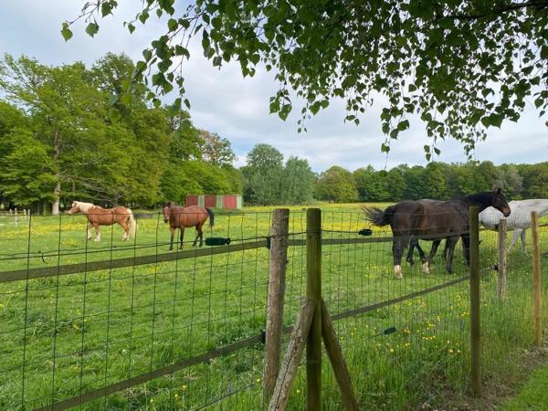 Maison 8 pièces 170m² sur 1.530m² de terrain