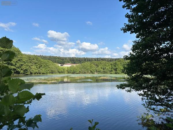 Achat - Terrain de loisirs, bois, étangs | Étang Le Val-d'Ajol 88340 25021 m 2