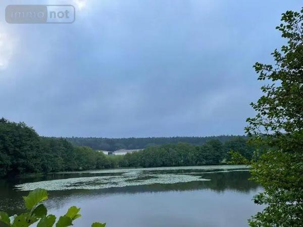 Achat - Terrain de loisirs, bois, étangs | Étang Le Val-d'Ajol 88340 25021 m 2
