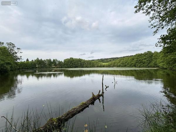 Achat - Terrain de loisirs, bois, étangs | Étang Le Val-d'Ajol 88340 25021 m 2