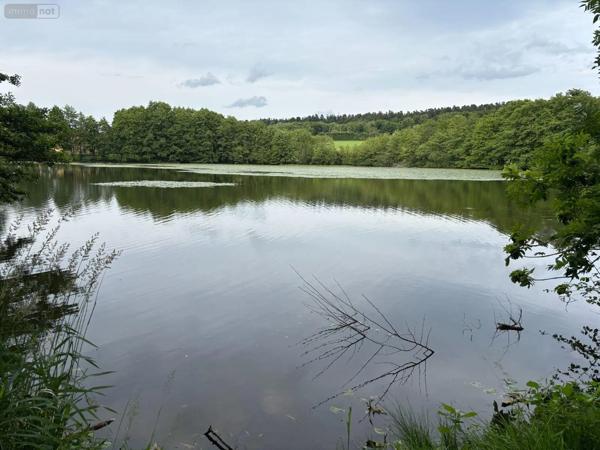 Achat - Terrain de loisirs, bois, étangs | Étang Le Val-d'Ajol 88340 25021 m 2