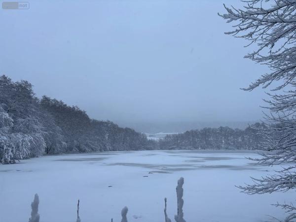 Achat - Terrain de loisirs, bois, étangs | Étang Le Val-d'Ajol 88340 25021 m 2