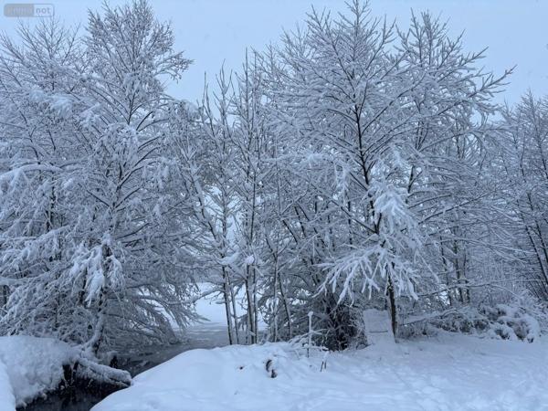 Achat - Terrain de loisirs, bois, étangs | Étang Le Val-d'Ajol 88340 25021 m 2