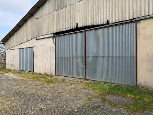 Hangar pour activité professionnelle et de rapport
