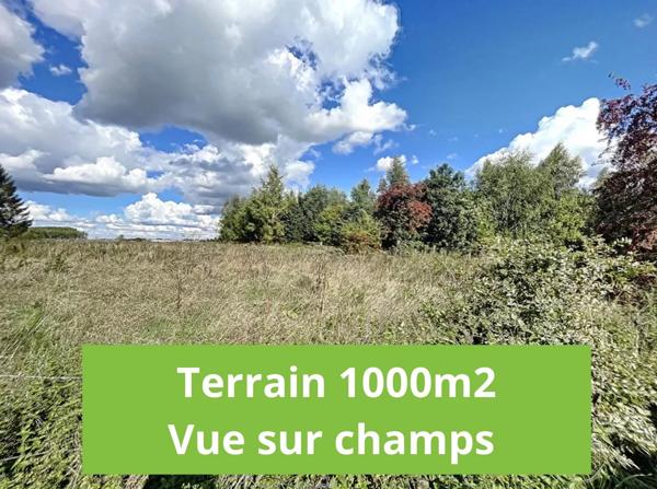Terrain libre de constructeurs - 1005m2 , Camphin-en-carembault