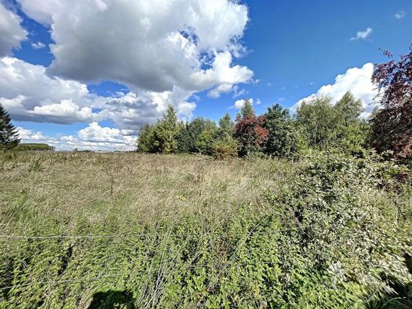 Terrain libre de constructeurs - 1005m2 , Camphin-en-carembault