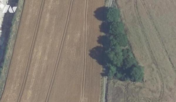 Une parcelle de bois et taillis