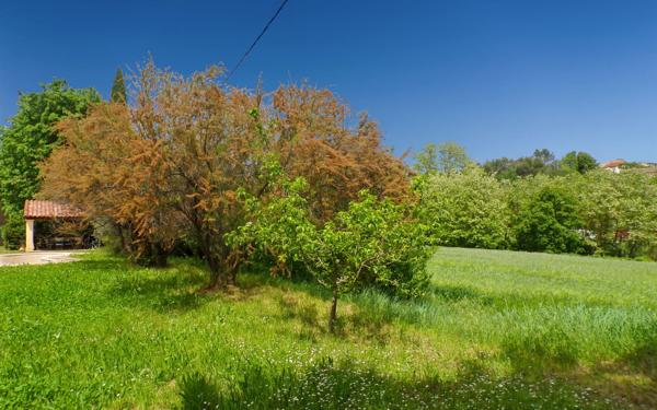 Maison à vendre    10 pièces • 325 m2 La Tour-d'Aigues