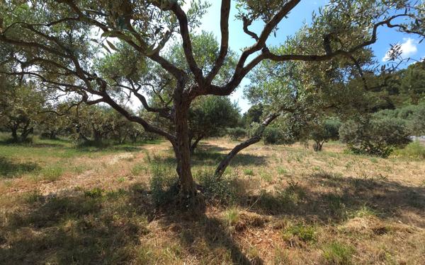 Maison à vendre    5 pièces •  Aups