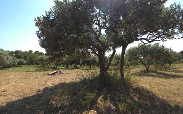 Maison à vendre    5 pièces •  Aups