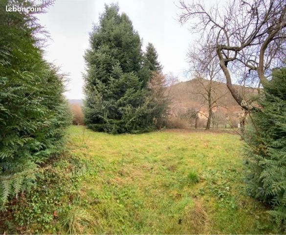 Terrain en lisière de forêt
